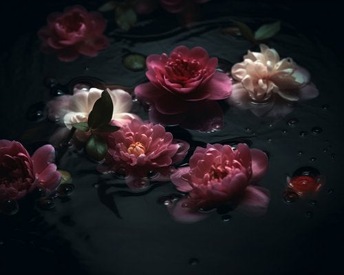 Gentle Threads #1