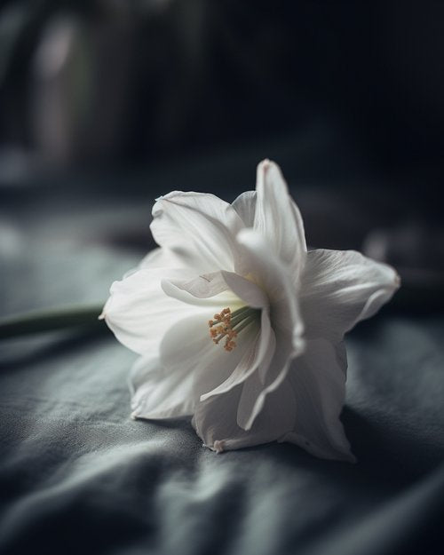 Gentle Threads #1